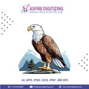 Bald Eagle Vector – Majestic Haliaeetus leucocephalus Illustration